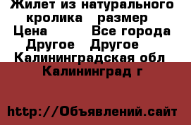 Жилет из натурального кролика,44размер › Цена ­ 500 - Все города Другое » Другое   . Калининградская обл.,Калининград г.